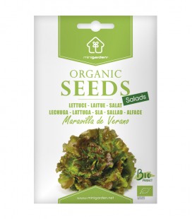 Lettuce "Maravilla de Verano", Minigarden Organic Seeds