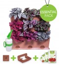 Minigarden Vertical Vegetable Garden Essential Pack